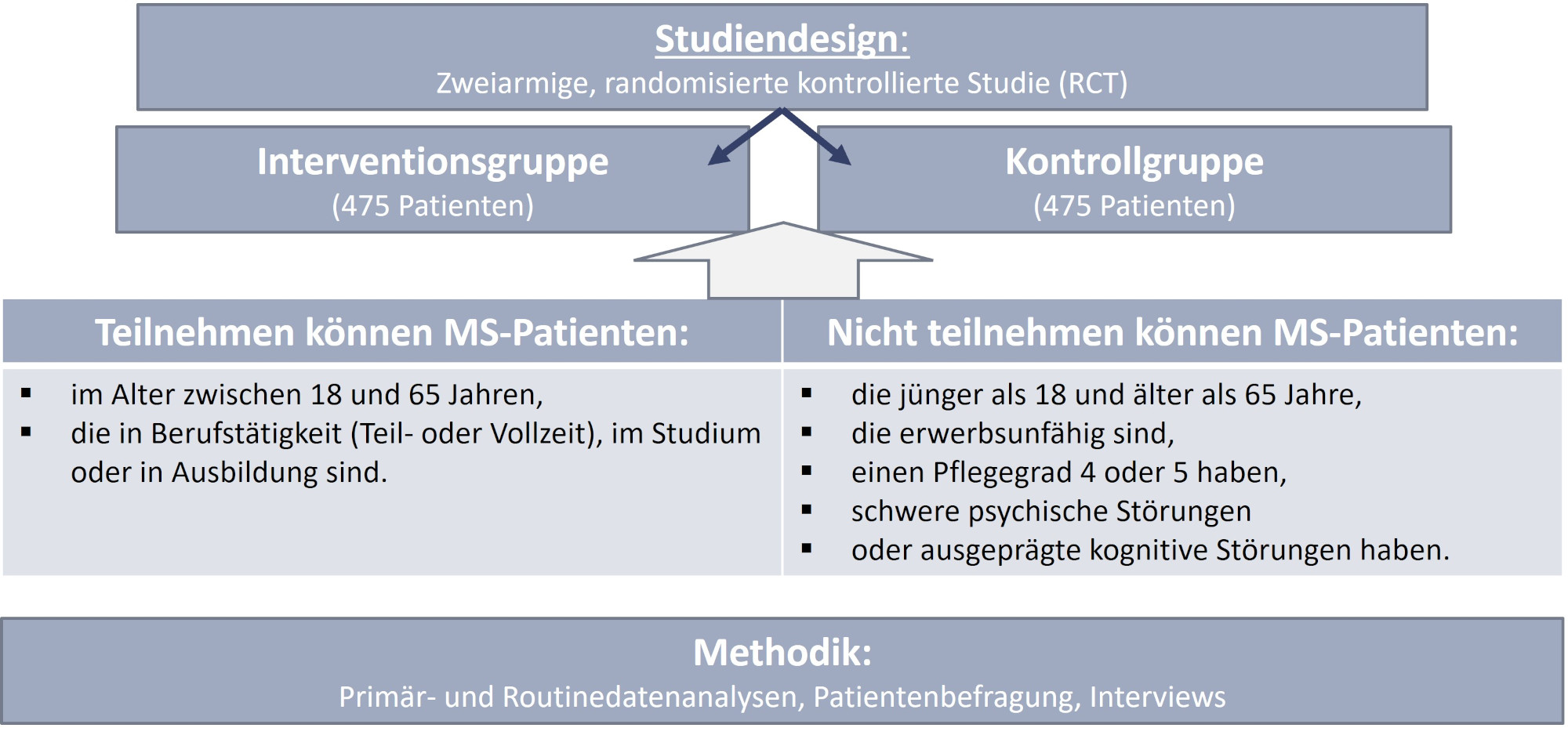 Bild MSnetwork
